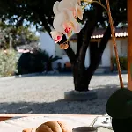 Costa Degli Dei 펜션 산타도메니카