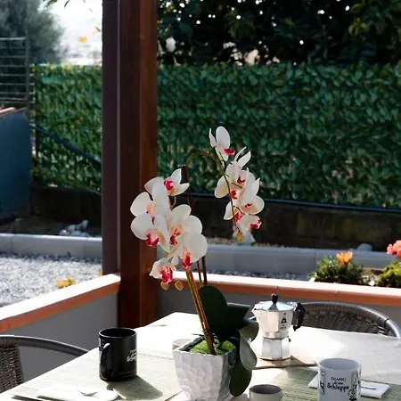 Costa Degli Dei Santa Domenica (Vibo Valentia)