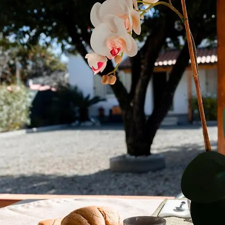 Costa Degli Dei Casa de Férias Santa Domenica (Vibo Valentia)