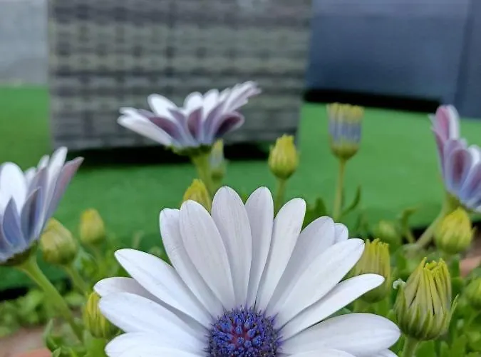 Costa Degli Dei Casa de Férias *