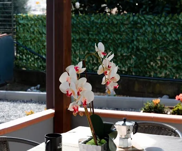 Costa Degli Dei Santa Domenica (Vibo Valentia)