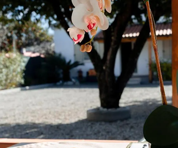 Costa Degli Dei Casa de Férias Santa Domenica (Vibo Valentia)